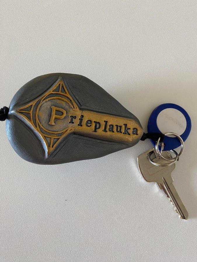 הוסטל אליטוס Rezidencija "Prieplauka" מראה חיצוני תמונה